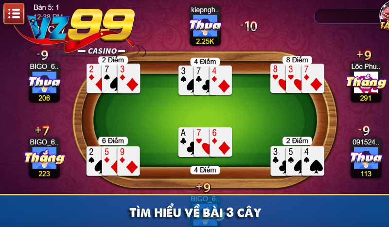 Tìm hiểu về bài 3 cây