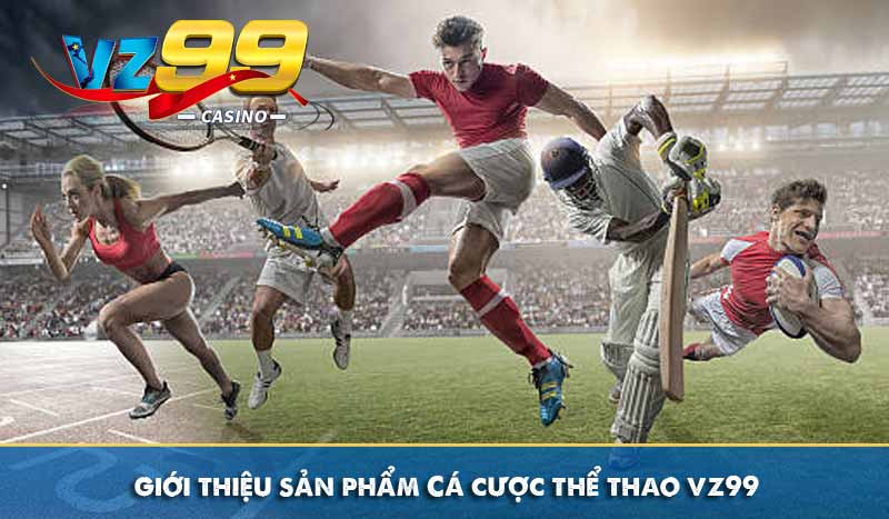 giới thiệu sản phẩm cá cược thể thao vz99