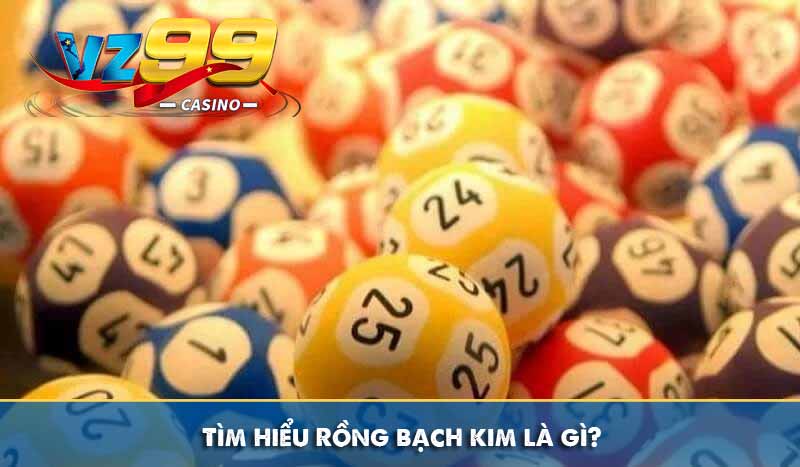 Tìm hiểu Rồng bạch kim là gì?